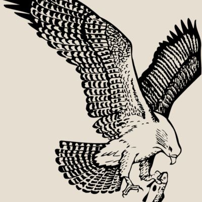 EAGLE022 Thumbnail