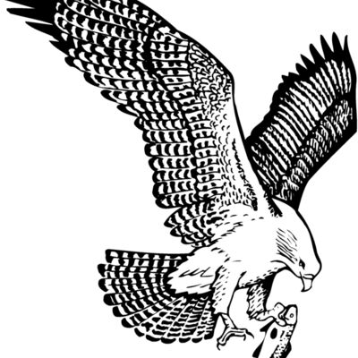 EAGLE022 Thumbnail