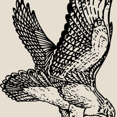 EAGLE026 Thumbnail