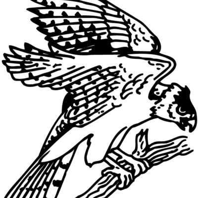 EAGLE027 Thumbnail