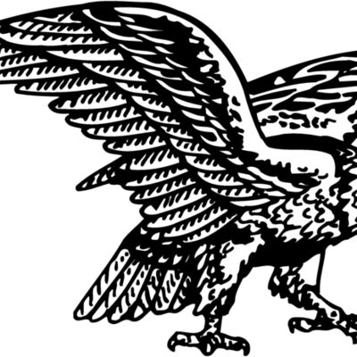 EAGLE028 Thumbnail