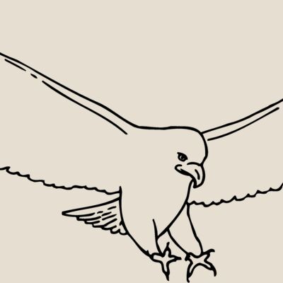 EAGLE46 Thumbnail
