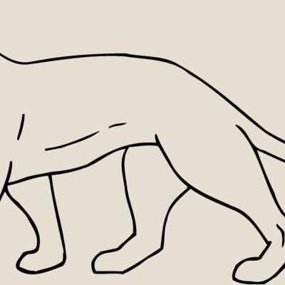 CAT05 Thumbnail