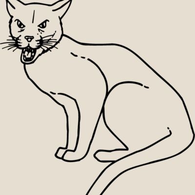 CAT21 Thumbnail
