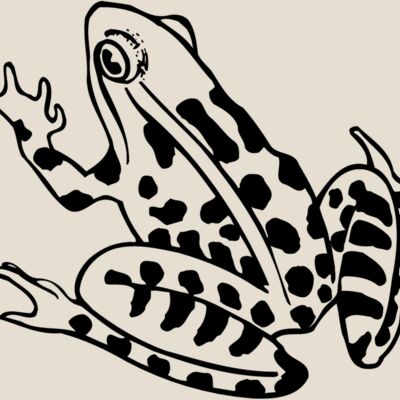 FROG01 Thumbnail