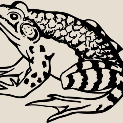 FROG03 Thumbnail