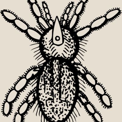 SPIDER05 Thumbnail