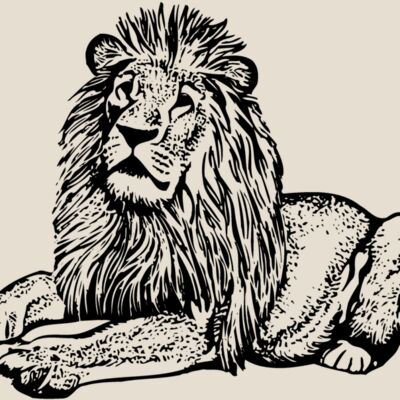 LION004 Thumbnail