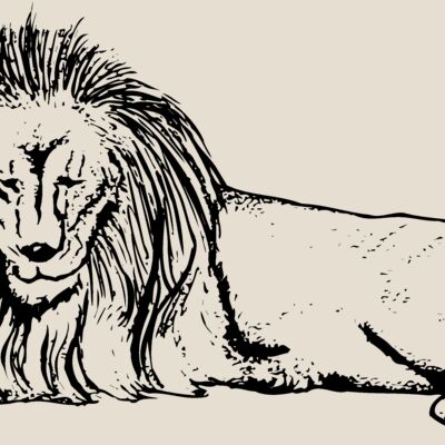 LION008 Thumbnail