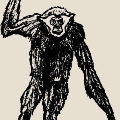 MONK003 Thumbnail