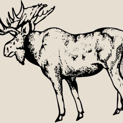 MOOSE002 Thumbnail