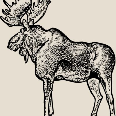 MOOSE004 Thumbnail