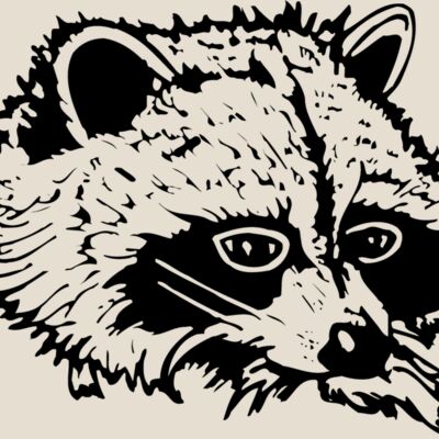 COON004 Thumbnail