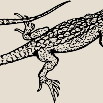 LIZARD01 Thumbnail