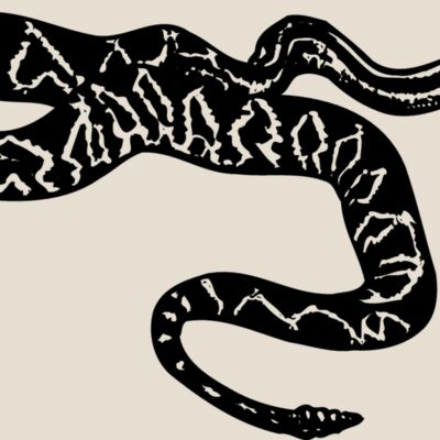 SNAKE007 Thumbnail