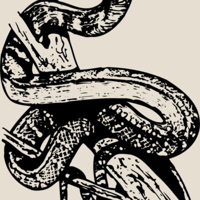 SNAKE008 Thumbnail