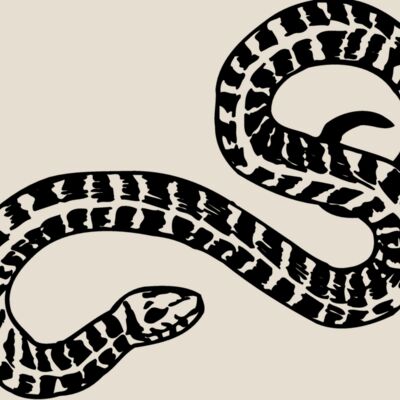 SNAKE009 Thumbnail