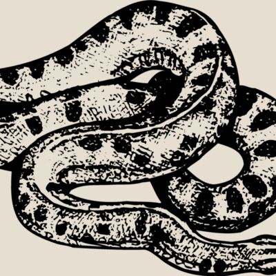 SNAKE010 Thumbnail