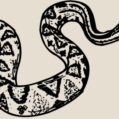 SNAKE011 Thumbnail