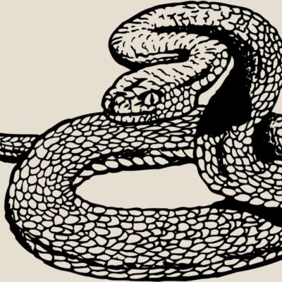 SNAKE012 Thumbnail