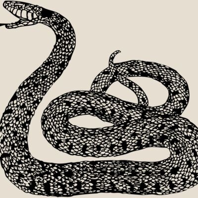 SNAKE015 Thumbnail