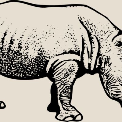 RHINO001 Thumbnail