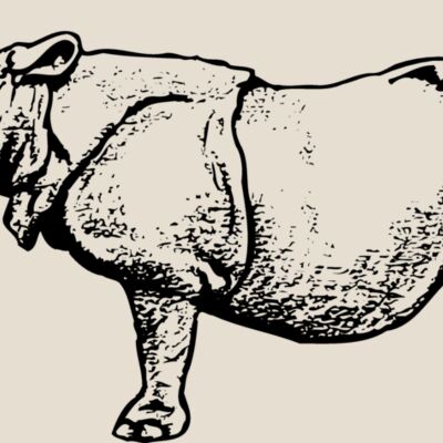 RHINO003 Thumbnail