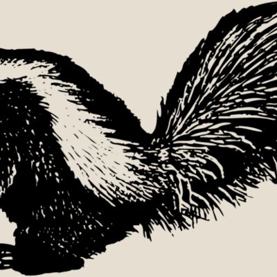 SKUNK002 Thumbnail