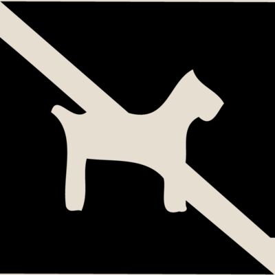 NODOG Thumbnail