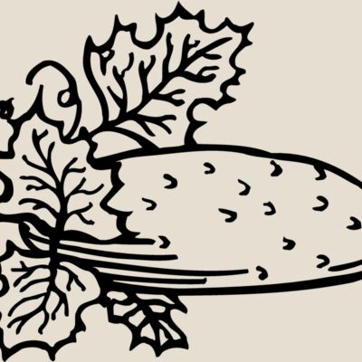 FRUIT002 Thumbnail