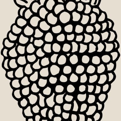 FRUIT003 Thumbnail