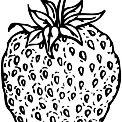 FRUIT009 Thumbnail