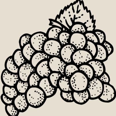 FRUIT016 Thumbnail