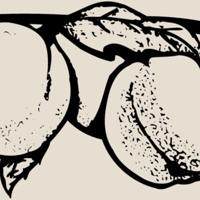 FRUIT031 Thumbnail