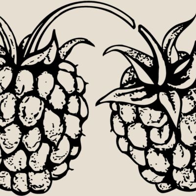 FRUIT032 Thumbnail