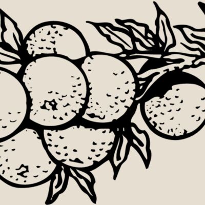 FRUIT035 Thumbnail