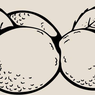 FRUIT036 Thumbnail