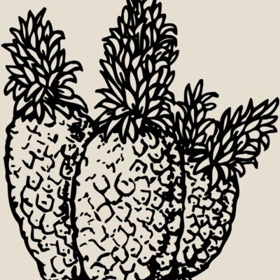FRUIT039 Thumbnail