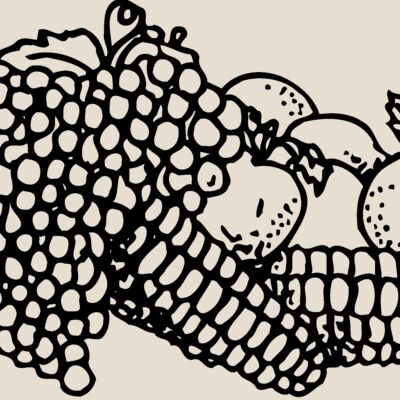 FRUIT049 Thumbnail