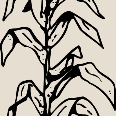 GRAIN006 Thumbnail