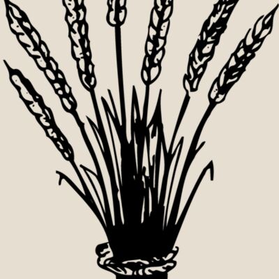 GRAIN008 Thumbnail