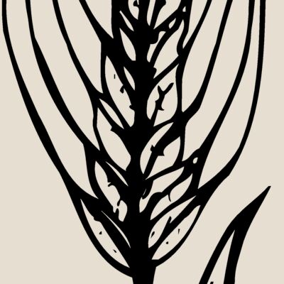 GRAIN009 Thumbnail