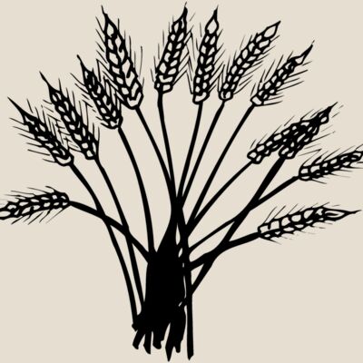 GRAIN015 Thumbnail