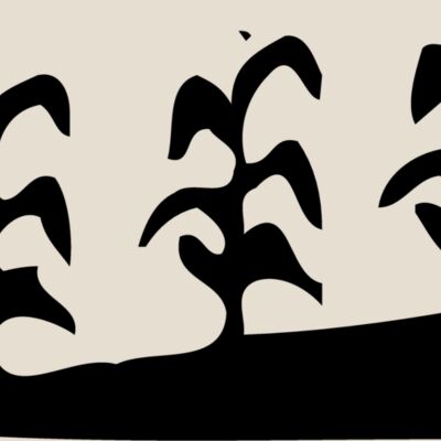 GRAIN016 Thumbnail