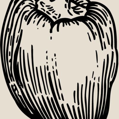 VEG011 Thumbnail