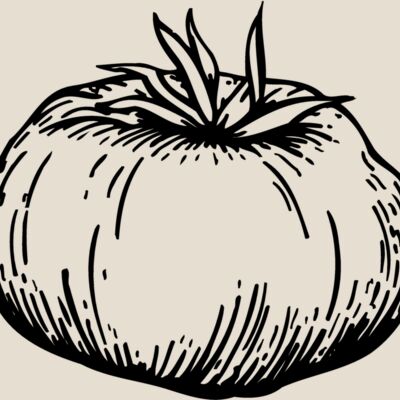 VEG015 Thumbnail