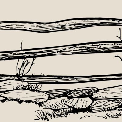 F0001 Thumbnail