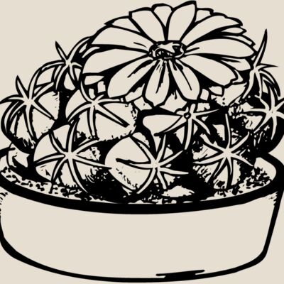 CACTUS02 Thumbnail