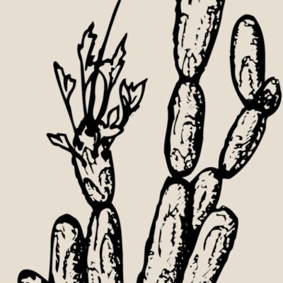 CACTUS08 Thumbnail