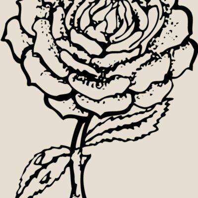 FLOWER05 Thumbnail